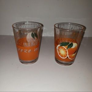 Vintage Rare Couples Crate & Barrel O.J. Glasses